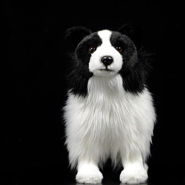 Roscoe the Border Collie | From FeelGood Buddies