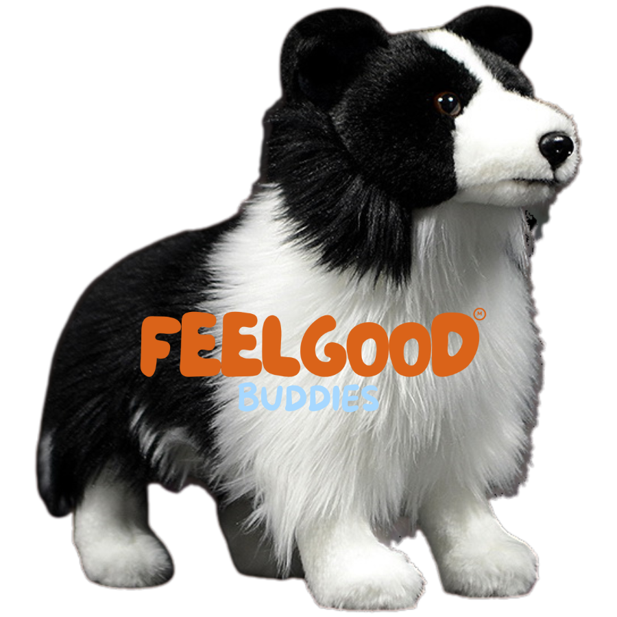 Roscoe the Border Collie | From FeelGood Buddies