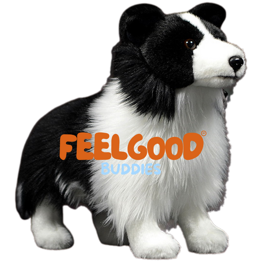 Roscoe the Border Collie | From FeelGood Buddies