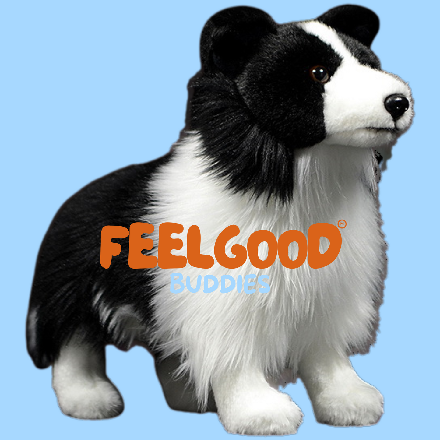 Roscoe the Border Collie | From FeelGood Buddies